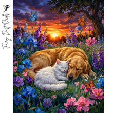 Ladda upp bild till gallerivisning, Diamond Painting Petfriends Nighttime