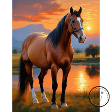 Ladda upp bild till gallerivisning, Diamond Painting Häst Solnedgång