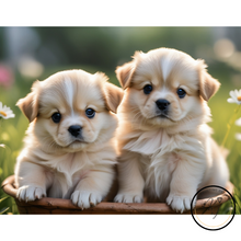 Ladda upp bild till gallerivisning, Diamond Painting Cute Puppies
