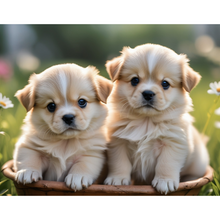 Ladda upp bild till gallerivisning, Diamond Painting Cute Puppies