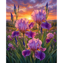 Ladda upp bild till gallerivisning, Diamond Painting Iris