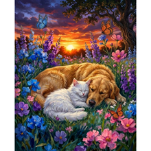 Ladda upp bild till gallerivisning, Diamond Painting Petfriends Nighttime