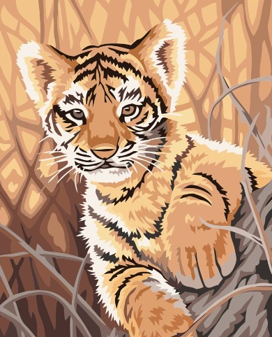 Paint By Numbers Tiger Baby 40x50