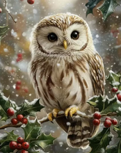 Ladda upp bild till gallerivisning, Diamond Painting Vinteruggla