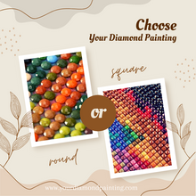 Ladda upp bild till gallerivisning, Diamond Painting Pomegranate Fruit