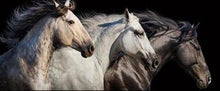 Ladda upp bild till gallerivisning, Diamond Painting Hästar*