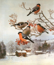 Ladda upp bild till gallerivisning, Diamond Painting Domherrar På Gren *