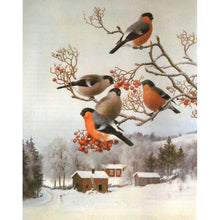 Ladda upp bild till gallerivisning, Diamond Painting Domherrar På Gren *