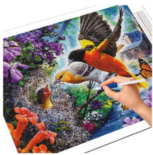 Ladda upp bild till gallerivisning, Diamond Painting Orioles Matar Barnet*