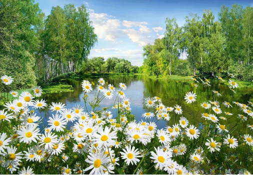 Diamond Painting Prästkragar*