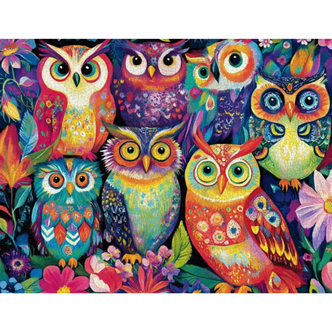 Diamond Painting Färgglada Ugglor