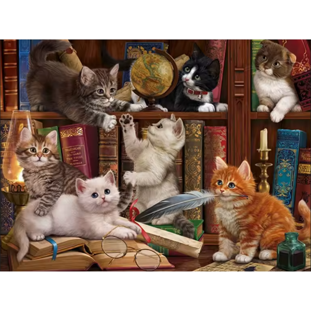 Diamond Painting Katter Bokhylla