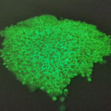 Ladda upp bild till gallerivisning, Diamond Painting Självlysande Pärlor ( Glow In The Dark )  DMC:nr 5200
