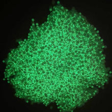 Ladda upp bild till gallerivisning, Diamond Painting Självlysande Pärlor ( Glow In The Dark )  DMC:nr 5200
