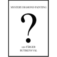 Ladda upp bild till gallerivisning, Mystery Diamond Painting 120 Färger Butikens Val
