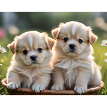 Ladda upp bild till gallerivisning, Diamond Painting Cute Puppies
