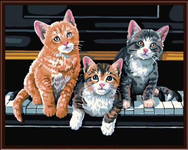 Paint By Numbers Cats On Pianio 40x50