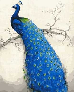 Paint By Numbers Peacock 40x50