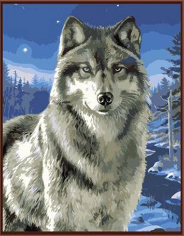 Paint By Numbers Wolf 40x50