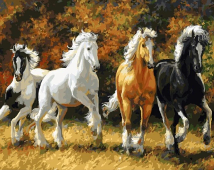 Paint By Numbers Wild Horses 40x50