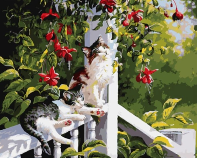 Paint By Numbers Katter På Veranda 40x50