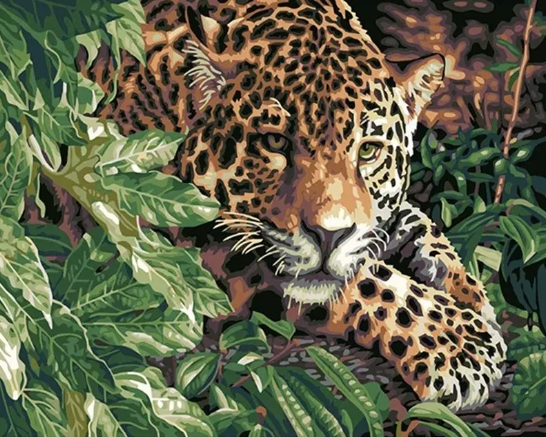 Paint By Numbers Leopard I Träd 40x50