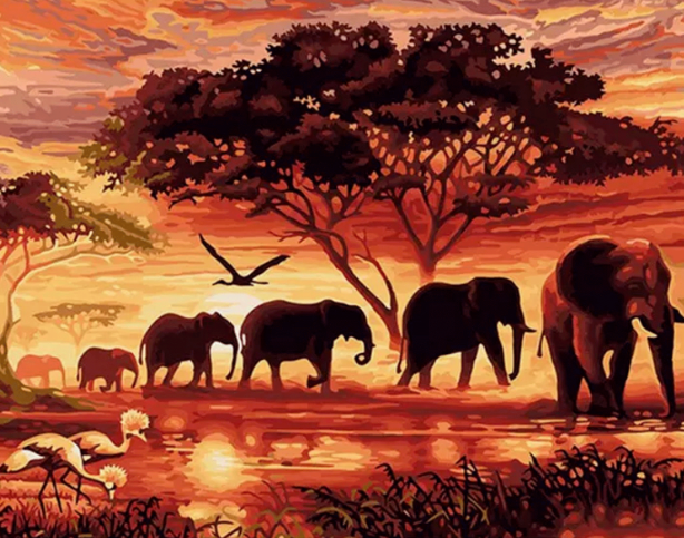 Paint By Numbers Elephants 40x50