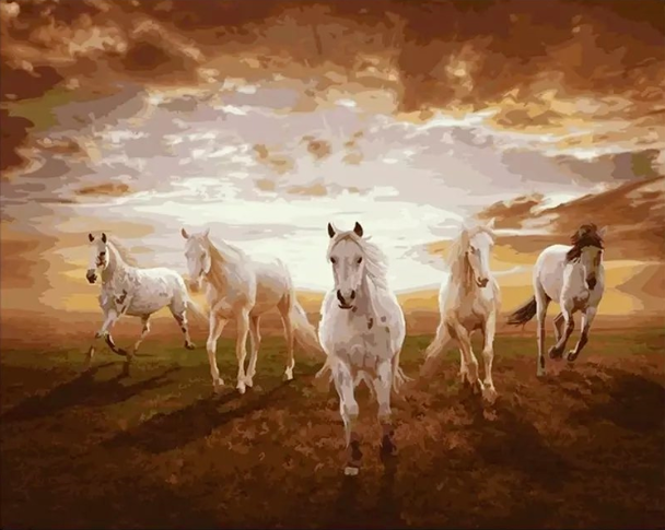 Paint By Numbers Running Horses 40x50