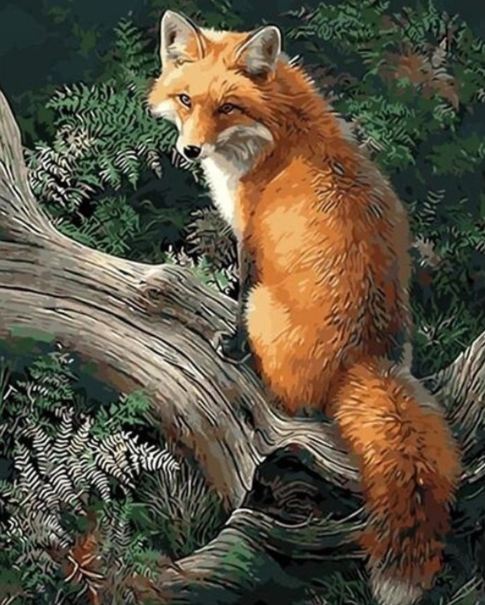 Paint By Numbers Fox 40x50
