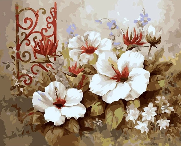 Paint By Numbers Red And White Flower 40x50