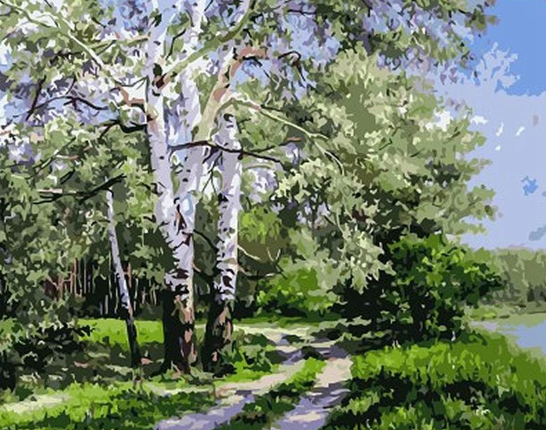 Paint By Numbers Sommarstig 40x50