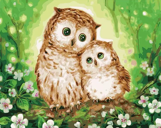 Paint By Numbers Cute Owls 40x50