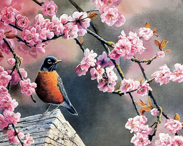 Paint By Numbers Little Bird 40x50