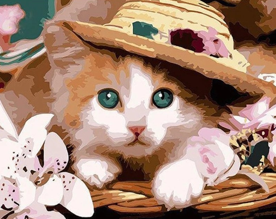 Paint By Numbers Cat With Hat 40x50