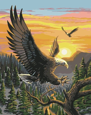 Paint By Numbers Eagles 40x50