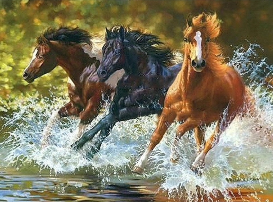 Paint By Numbers Horses River 40x50