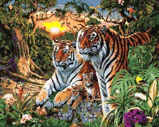 Paint By Numbers Djungeltigrar 40x50