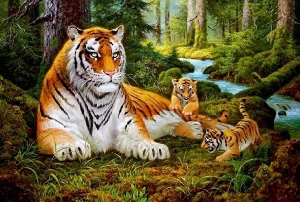 Paint By Numbers Tigerfamily 40x50