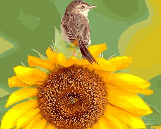 Paint By Numbers Bird On Sunflower  40x50