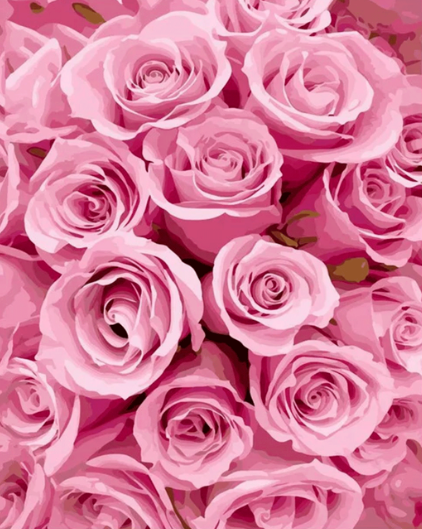 Paint by Numbers Pink Roses 40x50