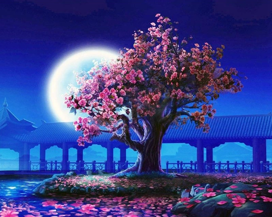 Paint by Numbers Moonlight Tree 40x50