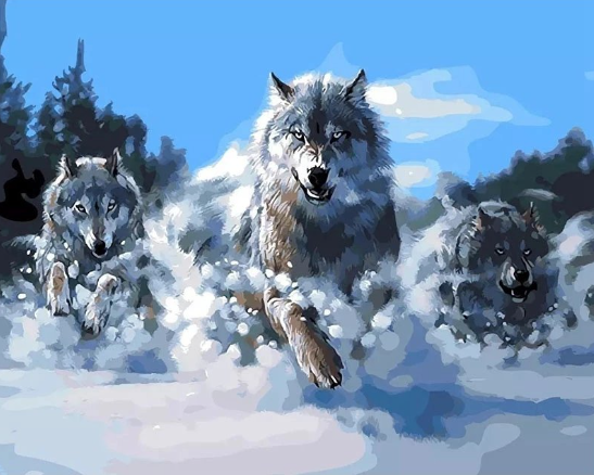 Paint By Numbers Running Wolves  40x50