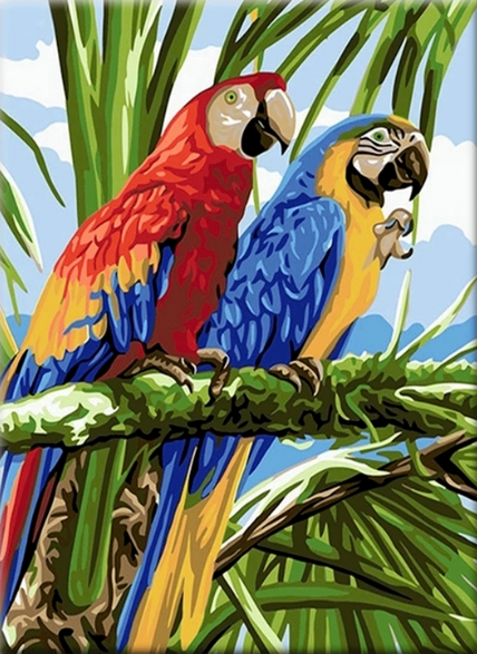 Paint By Numbers Parrots 40x50