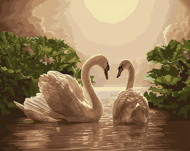Paint By Numbers Beautiful Swans
