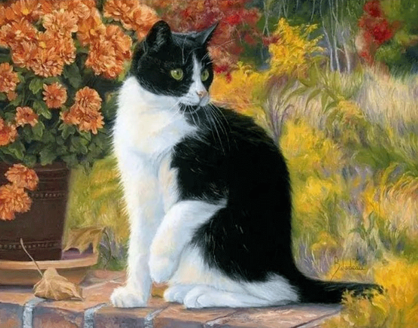 Paint By Numbers Höstkatt 40x50