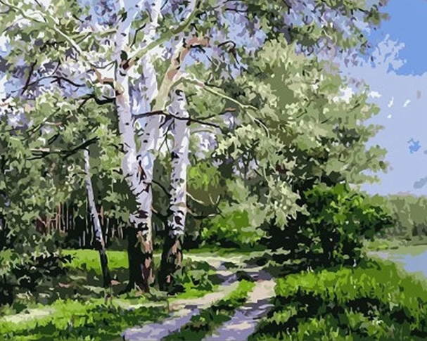 Paint By Numbers Björkar 40x50