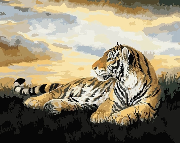 Paint By Numbers Tiger