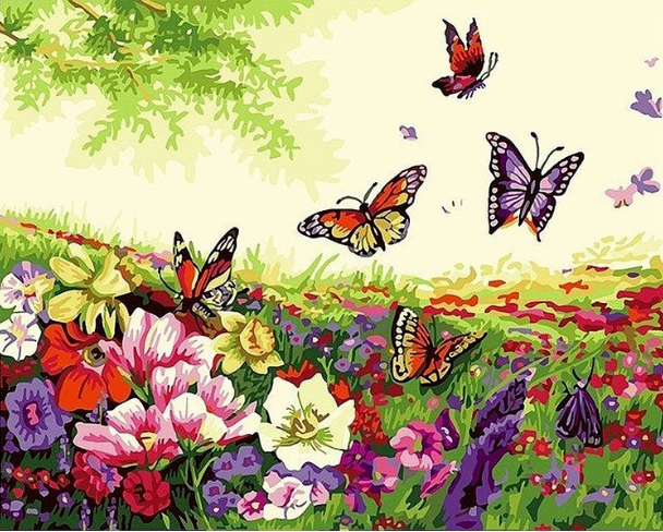 Paint By Numbers Butterflies 40x50