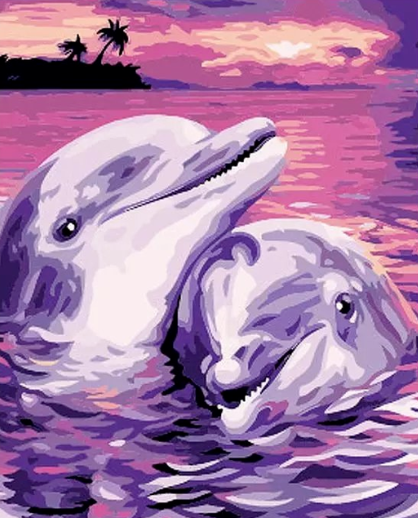 Paint By Numbers Dolphin Love 40x50