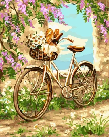 Paint By Numbers Picknic Bike 40x50